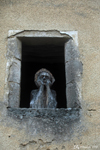 A man transformed into a statue