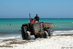 Djerba - The cleaning of the beach is finished
