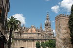 Seville - Our Lady of the See Cathedral 