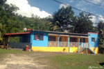 Guadeloupe - The houses are like this one, with shimmering colours