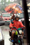 Quezon-city - Quoi de plus naturel que de se protéger de la pluie à moto. Pour information, c'est une moto-tai comme il existe des milliers aux Philippines