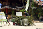 Panglao - Collecting coconut leaves