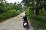 Bohol - The scooter is still the most pleasant way to discover the island because of its ease of getting around