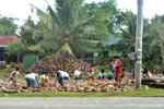 Panglao - These families turn the coconuts to dry them and make coconut oil