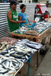 Panglao - Fish seller along the road