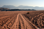 Wadi Rum - The track