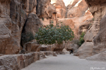 La partie large du Siq