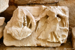 Dans le musée