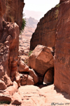 Petra