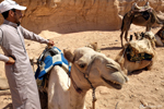 Wadi Rum