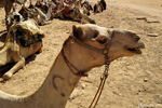 Wadi Rum