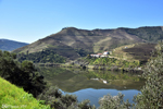 The valley and its vineyards