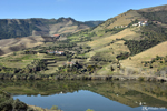The valley and its vineyards