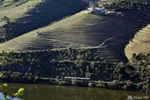 The valley and its vineyards