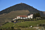 The valley and its vineyards