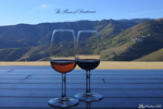 The final tasting of the port wine, the best moment"
