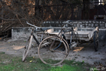 Delhi Delhi - A bike in a bad state