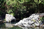 Coron - Malbakaya Falls