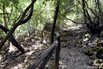 Cavagrande del Cassibile