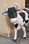 Le bonjour de la vache