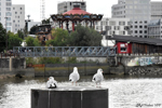 Seagulls near the Loire with the Carrousel des Mondes Marins (La Fabrique)