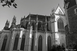 The Saint-Pierre-et-Saint-Paul cathedral