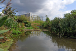 A view of a small artificial pond at the Jardin Extraordinaire