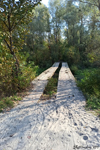 A former military mobile bridge