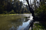 The river