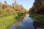 The river