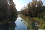 The river