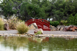 Tunis - Japanese Garden