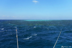 The double mooring