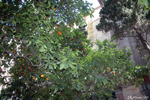 Málaga