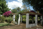 Seville