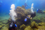 Diving in Guadeloupe