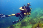 Diving in Guadeloupe