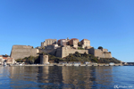 Calvi