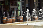 Salon-de-Provence