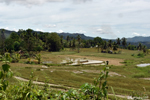 Lungsodaan