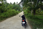 Bohol