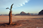 Wadi Rum desert