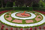 A flower clock