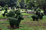 Lalbagh Botanical Garden