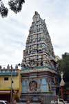 Temple