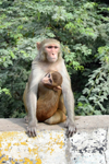 Agra - The mother and her baby