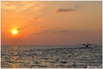 L'envol (Maldives, Mars 2011)