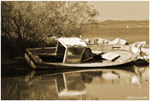Une barque abandonnée (Etang-de-Berre, France, Avril 2017)