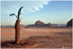 Le Désert (Wadi Rum, Jordanie, Octobre 2018)